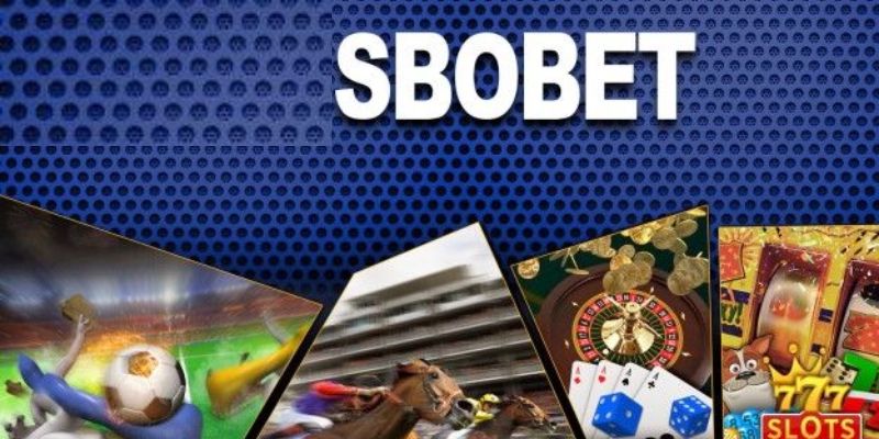 Nguồn gốc của Sbobet Nohu90